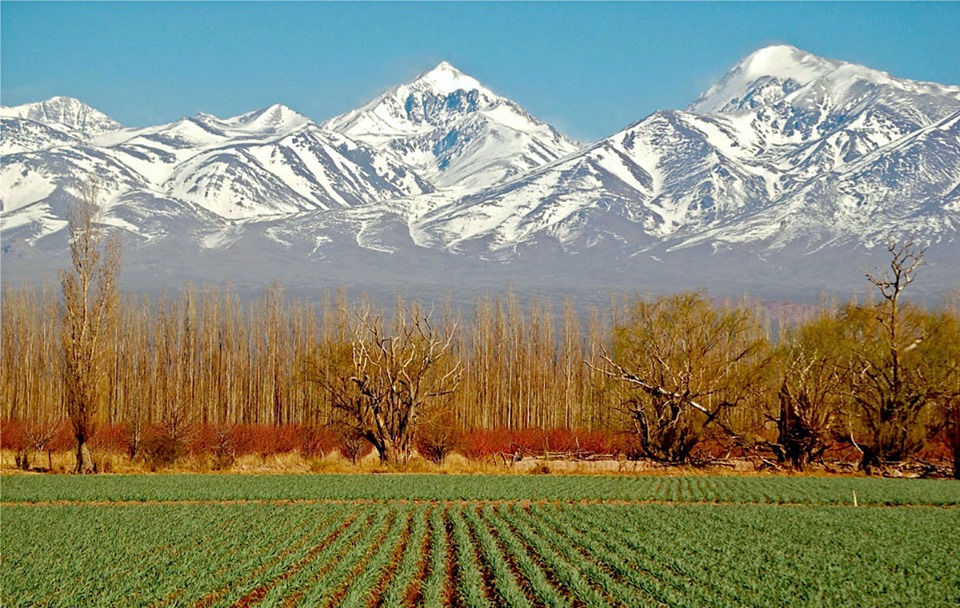 mendoza